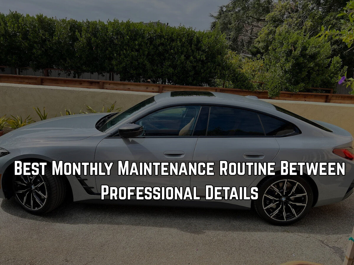 Best Monthly Maintenance Routine Between Professional Details